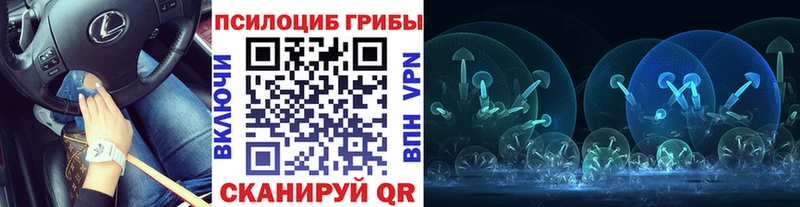 blacksprut как зайти  Высоковск  Галлюциногенные грибы мицелий 